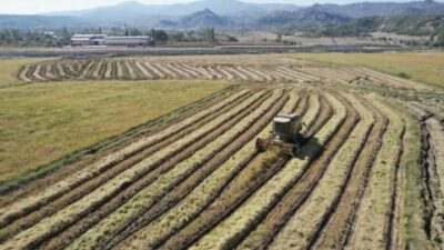 40 bin teknolojik çiftlik projesi nedir sorusu gündemde. YÖK ve