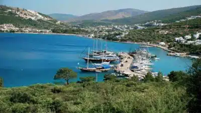 RAMS Bodrum Torba projesi neden iptal edildi sorusu gündemde. 449,5