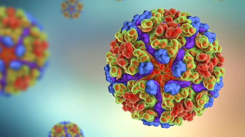 Chikungunya virüs