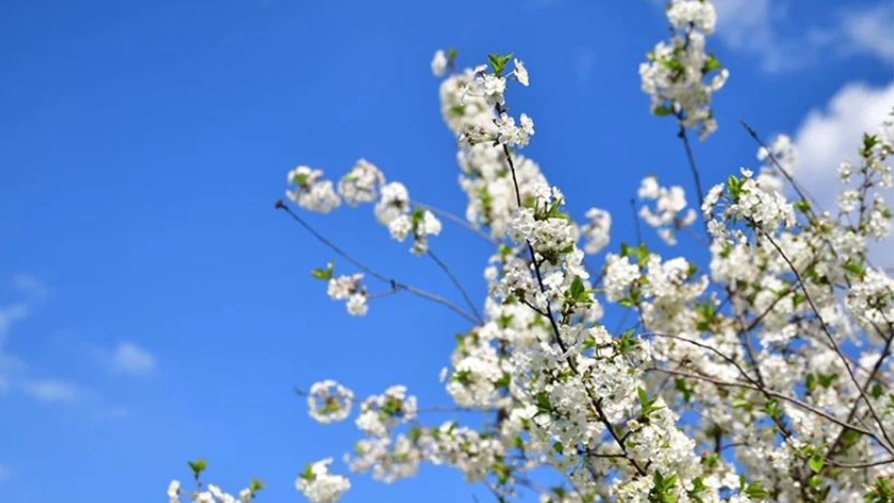 İlk cemre ne zaman düşecek sorusu gündemde. Cemrelerin havaya, suya