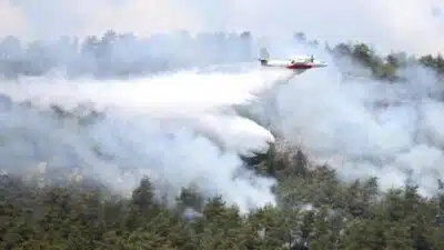 İstanbul, Beykoz’da henüz sebebi belirlenemeyen nedenle ormanlık alanda yangın çıkmıştır.