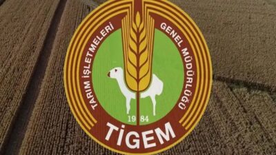 TİGEM at yarışları için koşu tayı satışı kapsamında önemli bir
