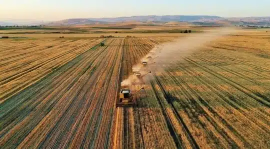 Milli Emlak Çanakkale kiralık arazi ilanı yatırımcıların gündemine yerleşmiştir. Milli