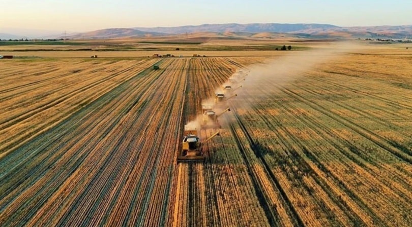 Tarımsal destek ödemeleri Şubat 2026 gündemdeki yerini koruyor. Mazot gübre