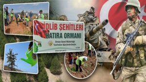 İdlib Şehitleri Hatıra Ormanı, Mersin’de geçtiğimiz aylarda kaçak kesim yapılan
