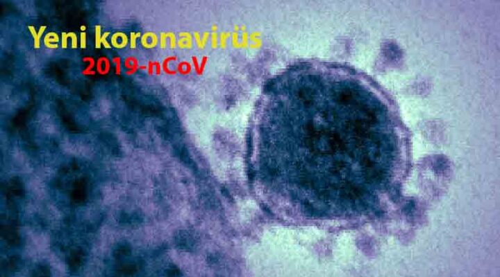 Koronavirüs: Rakamlar düşmeye devam ediyor