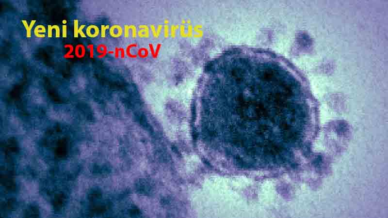 Koronavirüs: Rakamlar düşmeye devam ediyor