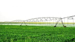 Ceylanpınar Sulama Projesi, Şanlıurfa Ceylanpınar üzerinde Türkiye’nin en büyük tarım