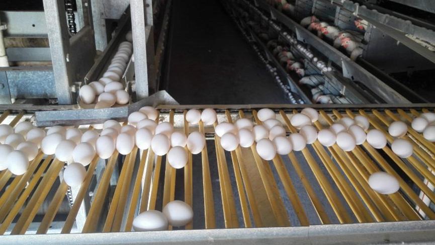 Yeni tip koronavirüs (Kovid-19) salgını, küresel piyasada etkisini sürdürürken Türkiye’deki